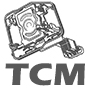 Електронні блоки (TCM) - 0AM (DQ200)