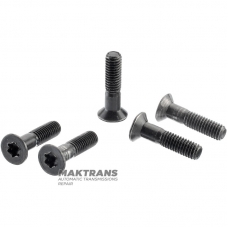 Комплект болтів кріплення DSI M11 0511-183230 - 5 болтів (M6x1.0x25)