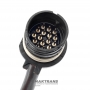 Проводка гидроблока ZF 5HP24 — BMW 1732370 (BMW Х5 E53), разьем 16 пинов